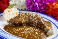 Chicken Mole Mexican Dish Royalty Free Stock Photo