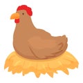 Chicken mother icon cartoon vector. Laborer stable industry