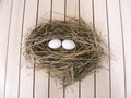 Chicken nest and chicken eggs decorative concept