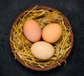 Chicken Nest with Eggs Royalty Free Stock Photo