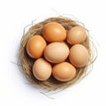 Chicken Nest With Eggs On White Background