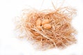 Chicken nest. four chicken brown eggs on the pile of hay on a white background Royalty Free Stock Photo