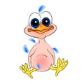 Chicken newborn cartoon