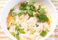 Chicken noodle soup closeup Royalty Free Stock Photo