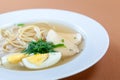 Chicken noodle soup with egg and greenery