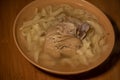 Chicken Noodle Soup. Chicken and noodle soup on an orange tablecloth in an orange plate. Food photography. Hot dish Royalty Free Stock Photo