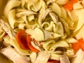 Chicken noodle soup