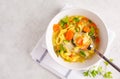 Chicken noodle soup and vegetables in a white bowl on a white ba Royalty Free Stock Photo