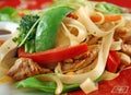 Chicken Noodle Stirfry Royalty Free Stock Photo