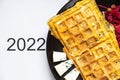 chicken omelet on a plate with salad and text on white background 2022, food in the new year 2022, scrambled eggs