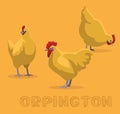 Chicken Orpington Cartoon Vector Illustration