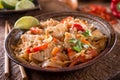 Chicken Pad Thai Royalty Free Stock Photo