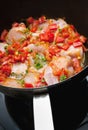 Chicken pan fry with red peppers Royalty Free Stock Photo
