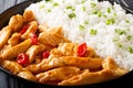 Chicken panang curry with garnish of rice close-up. horizontal Royalty Free Stock Photo