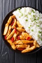 Chicken panang curry with garnish of rice close-up. Vertical top Royalty Free Stock Photo