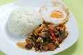 Chicken panang curry with rice and fried egg Royalty Free Stock Photo