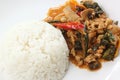 Chicken panang curry with rice