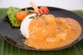 Chicken panang curry served with rice Thai food Royalty Free Stock Photo