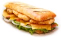 Chicken pannini sandwich