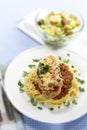 Chicken parmigiana Royalty Free Stock Photo