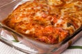 Chicken Parmigiana Royalty Free Stock Photo