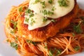 Chicken parmigiana and spaghetti close-up on a plate. horizontal Royalty Free Stock Photo