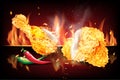 Chicken parts fried with red and green chilly on red black fire 3d realistic vector illustration