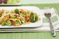Chicken pasta primavera with vegetables Royalty Free Stock Photo