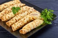 Chicken pate stuffed Crepes on plate Royalty Free Stock Photo