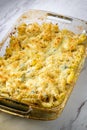 Chicken Penne Alfredo Bake Royalty Free Stock Photo