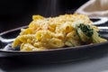 Chicken Penne Alfredo Bake Royalty Free Stock Photo