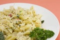 Chicken Penne Pasta with Parmesan Royalty Free Stock Photo