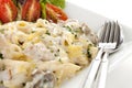 Chicken Penne Pasta Royalty Free Stock Photo