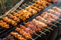Chicken pieces grilled