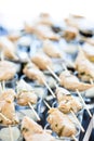 Chicken pieces on skewers Royalty Free Stock Photo