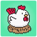 Chicken pixel art is incubating the eggs. Cute animals for game assets