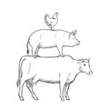 Chicken Pork Cow Farm Animals Vector