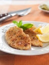 Chicken or pork schnitzel Royalty Free Stock Photo