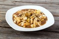 Chicken poutine quebec cuisine Royalty Free Stock Photo