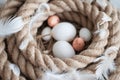 Easter, eggs, chicken eggs, quail eggs, eggs, rope, nest, white, feathers Royalty Free Stock Photo