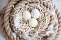 Easter, eggs, chicken eggs, quail eggs, eggs, rope, nest, white, feathers,in the hay Royalty Free Stock Photo