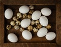 Chicken and qual eggs assortment in wooden box, top view Royalty Free Stock Photo