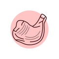 Chicken quarter color line icon. Cutting meat.