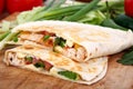 Chicken quesadilla plate closeup Royalty Free Stock Photo