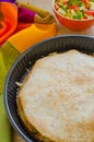 Chicken Quesadillas with Cheese Royalty Free Stock Photo