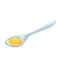 Chicken raw egg yolk on a metal spoon Royalty Free Stock Photo