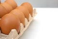 Chicken raw eggs in paper egg panel or in an egg stall on white background Royalty Free Stock Photo