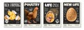 Chicken Realistic Posters Set