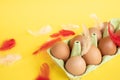 Chicken red eggs lie in a recycling tray, colorful feathers, red and pink feather Royalty Free Stock Photo