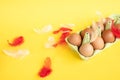 Chicken red eggs lie in a recycling tray, colorful feathers, Easter egg set, copy space Royalty Free Stock Photo